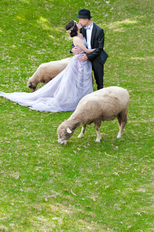 DSC7166 - [台中婚紗]婚紗攝影@老英格蘭 Andrew & Janet